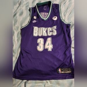 Milwaukee Bucks #34 Giannis Antetokounmpo Purple Men's Size‎ 48 Jersey